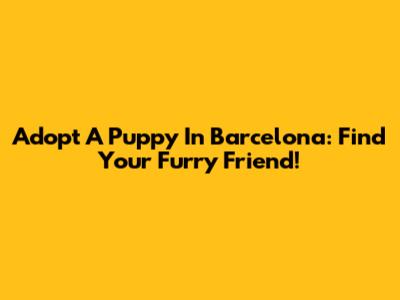 Adopt A Puppy In Barcelona: Find Your Furry Friend!