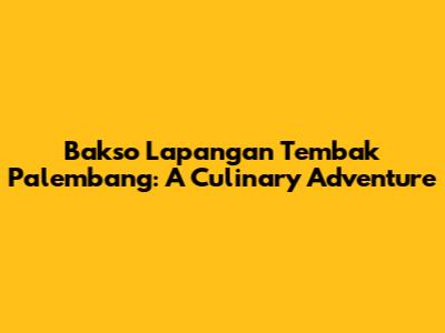 Bakso Lapangan Tembak Palembang: A Culinary Adventure