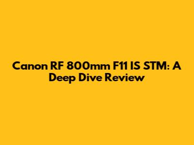 Canon RF 800mm F11 IS STM: A Deep Dive Review