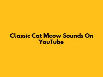 Classic Cat Meow Sounds On YouTube
