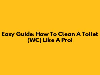 Easy Guide: How To Clean A Toilet (WC) Like A Pro!