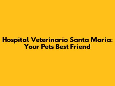 Hospital Veterinario Santa Maria: Your Pet's Best Friend