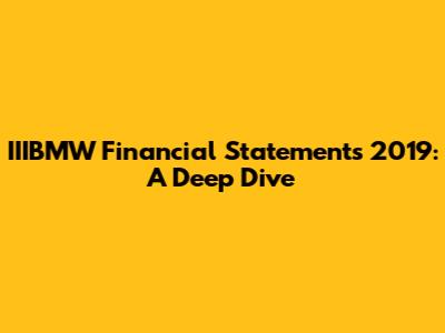 IIIBMW Financial Statements 2019: A Deep Dive