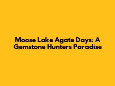 Moose Lake Agate Days: A Gemstone Hunter's Paradise