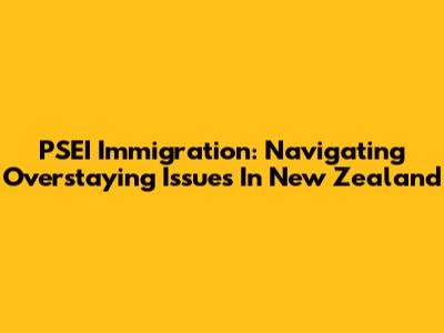 PSEI Immigration: Navigating Overstaying Issues In New Zealand