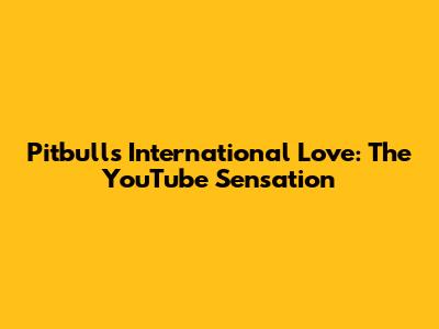 Pitbull's International Love: The YouTube Sensation