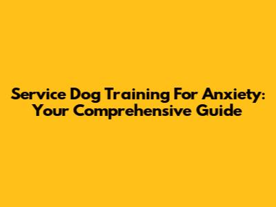 Service Dog Training For Anxiety: Your Comprehensive Guide